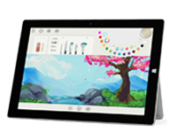 盐亭Surface 无法开启、Windows 无法启动或电池无法充电